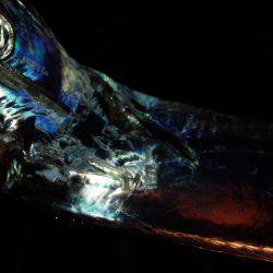 渋いが良型も…