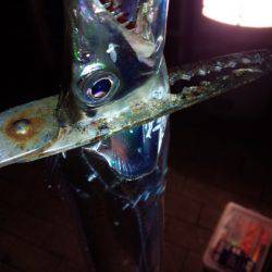 少しサイズダウン？