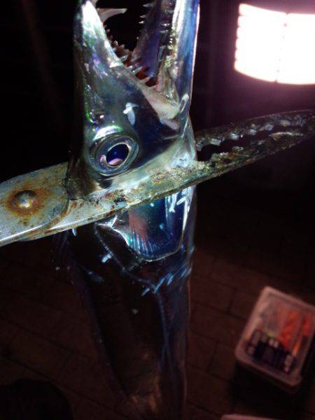 少しサイズダウン？