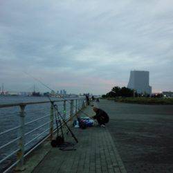 活性悪く・・・