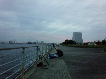 活性悪く・・・