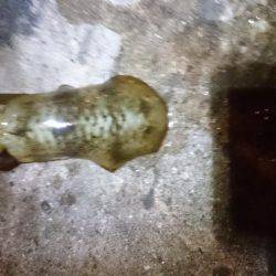 少ないようです。