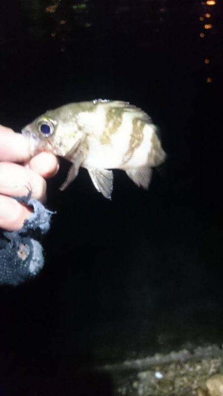 大潮に釣れない。