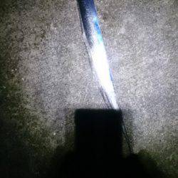 やっぱオモロイ。