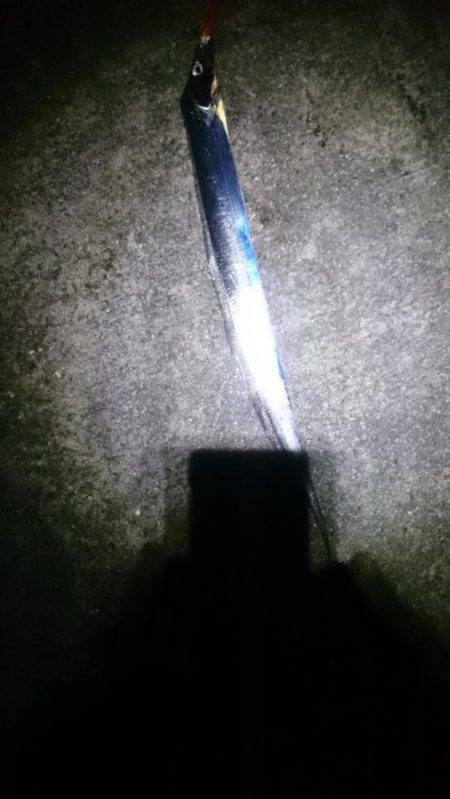 やっぱオモロイ。