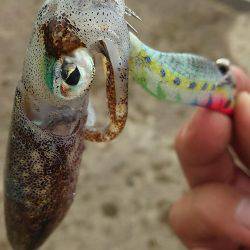 サーフエソング(>_<)