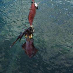 爆風もあって渋い！