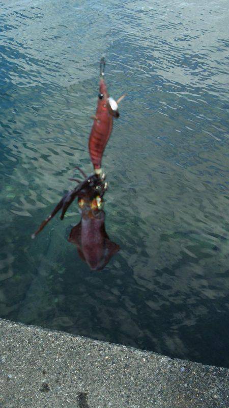 爆風もあって渋い！