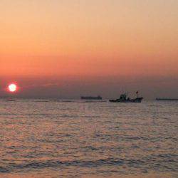 スピンテールでカレイ