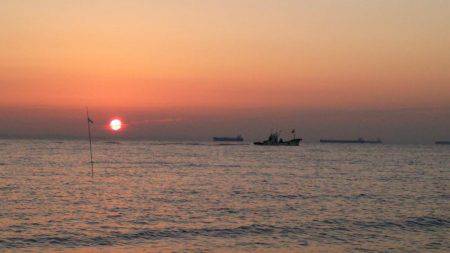 スピンテールでカレイ