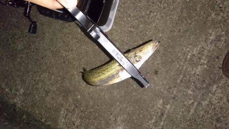 今どきカマシング