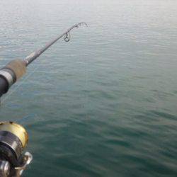 タチウオ釣り