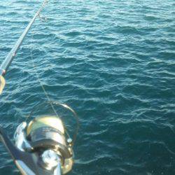 タチウオ釣り