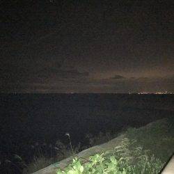 時にはアジング、