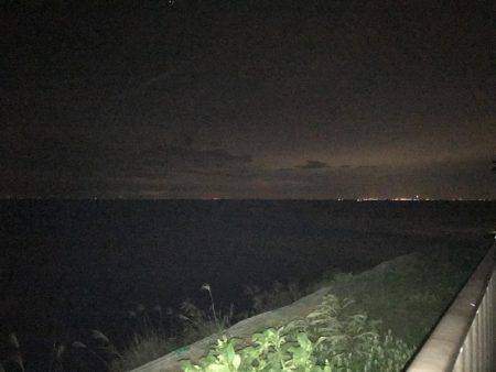 時にはアジング、