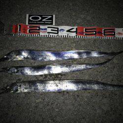 FLAPヘッド握りしめて！