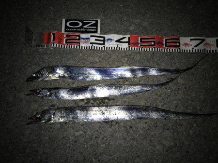 FLAPヘッド握りしめて！