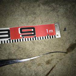 FLAP釣法炸裂で今季最大!