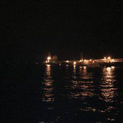 4釣行連続して、1匹！