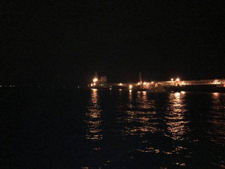 4釣行連続して、1匹！