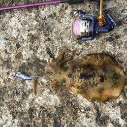 1年振りの丹後半島