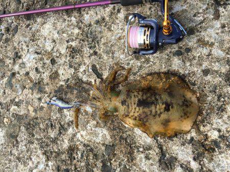 1年振りの丹後半島