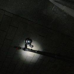 ひとりぼっちでタチウオ釣行