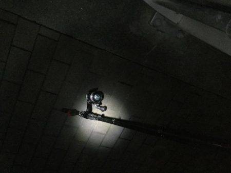 ひとりぼっちでタチウオ釣行