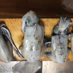 久しぶりの遠征