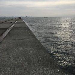 松村渡船でポーアイ沖堤防