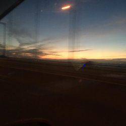 ダラダラ釣れ続けます❗️