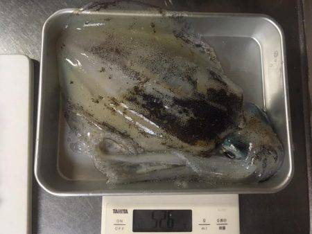 順調に育ってます❗️