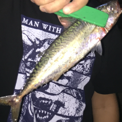 デカサバゲット！