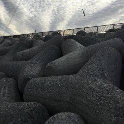 魚より人が多かった