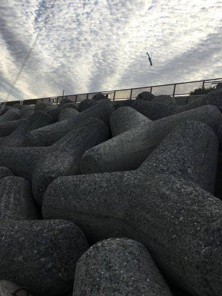 魚より人が多かった