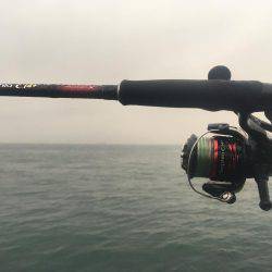 デイエギング最高❗️