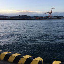 朝まずめ☆太刀魚