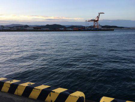 朝まずめ☆太刀魚