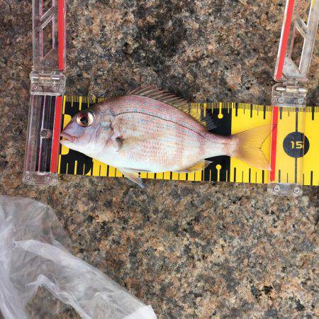 久々のエサ釣り