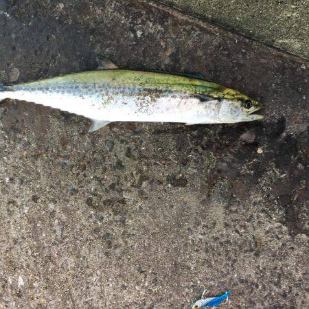 台風後の南港新波止