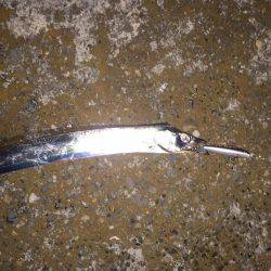 タチウオ爆釣！