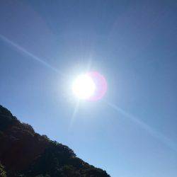 今期一番…渋い