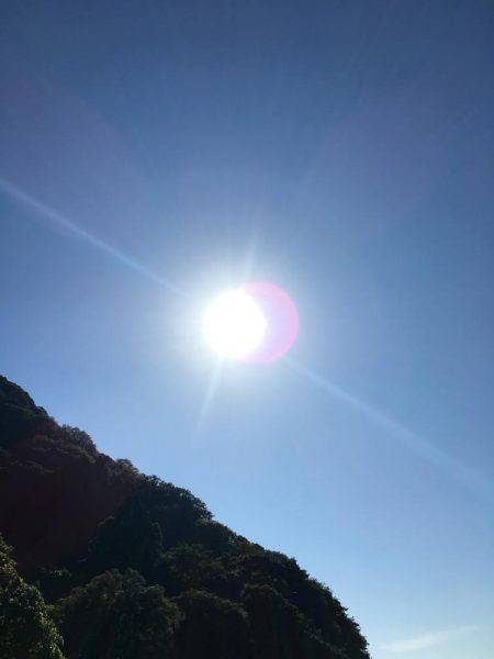 今期一番…渋い