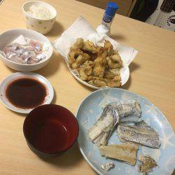 初めてのワインド釣り