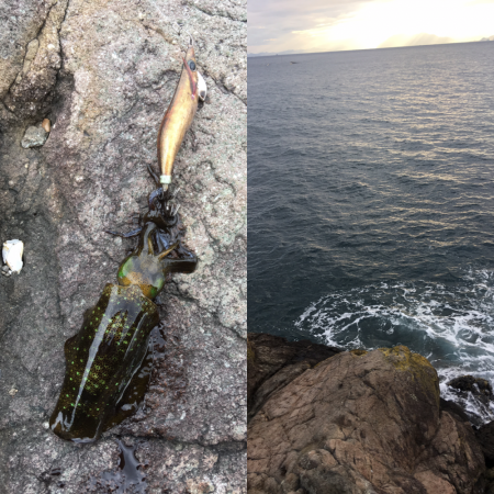 磯トップゲーム