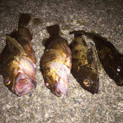 大潮?潮が動かない?