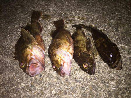 大潮?潮が動かない?