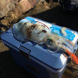 アベレージが良い