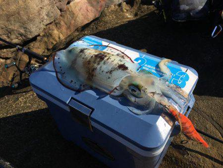 アベレージが良い