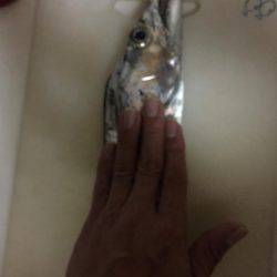太刀魚釣り